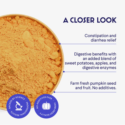 Pumpkin Powder