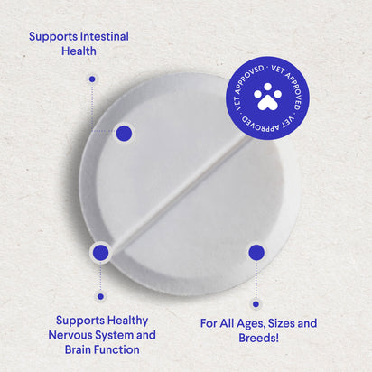 Vitamin B12 + Folate Chewables