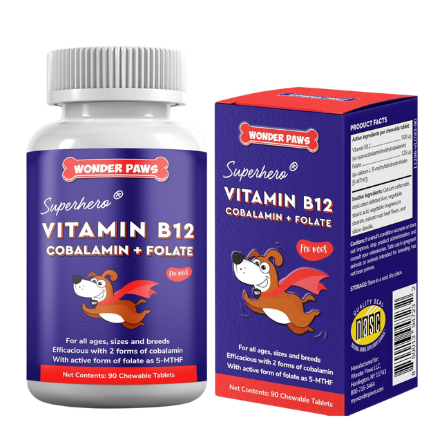 Vitamin B12 + Folate Chewables