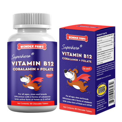 Vitamin B12 + Folate Chewables